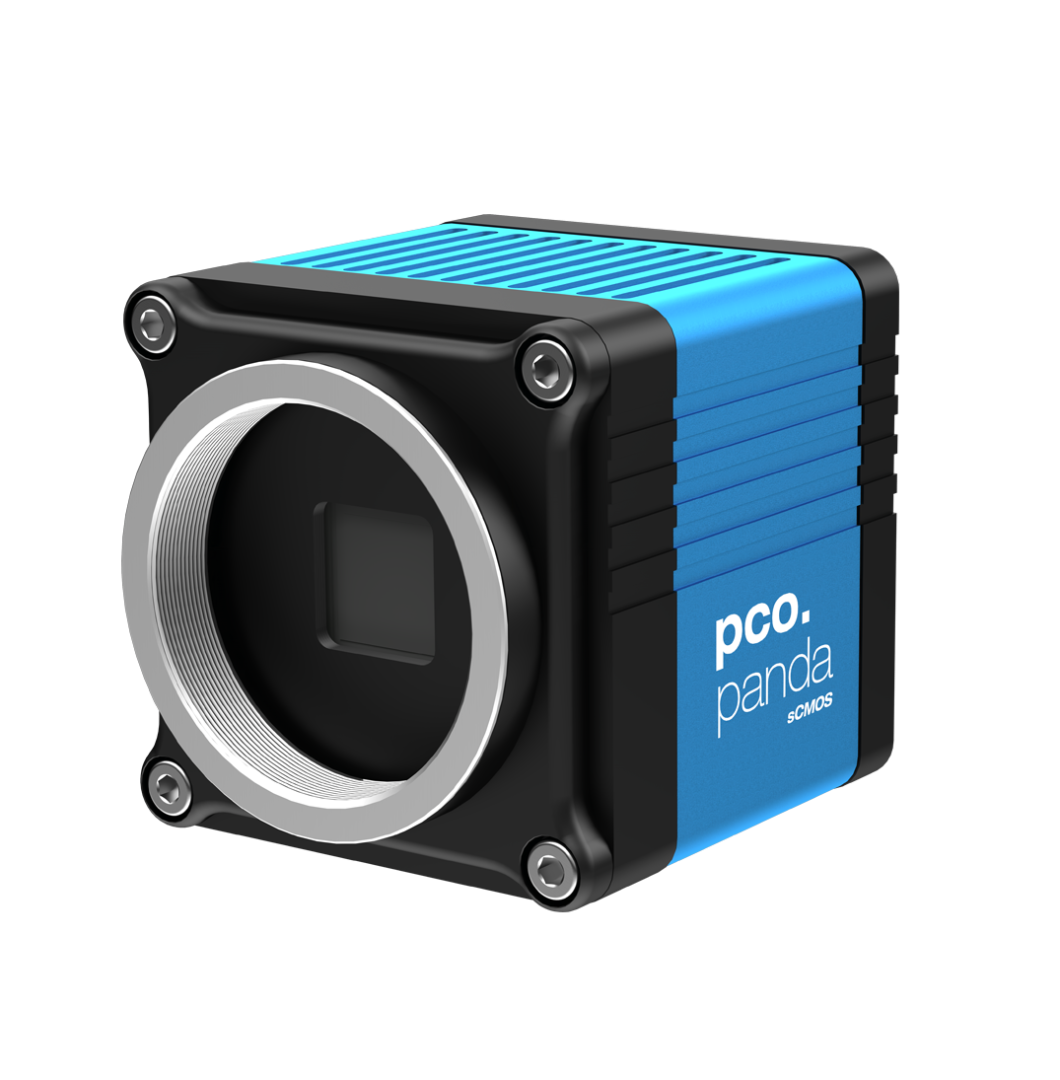 pco.panda 26