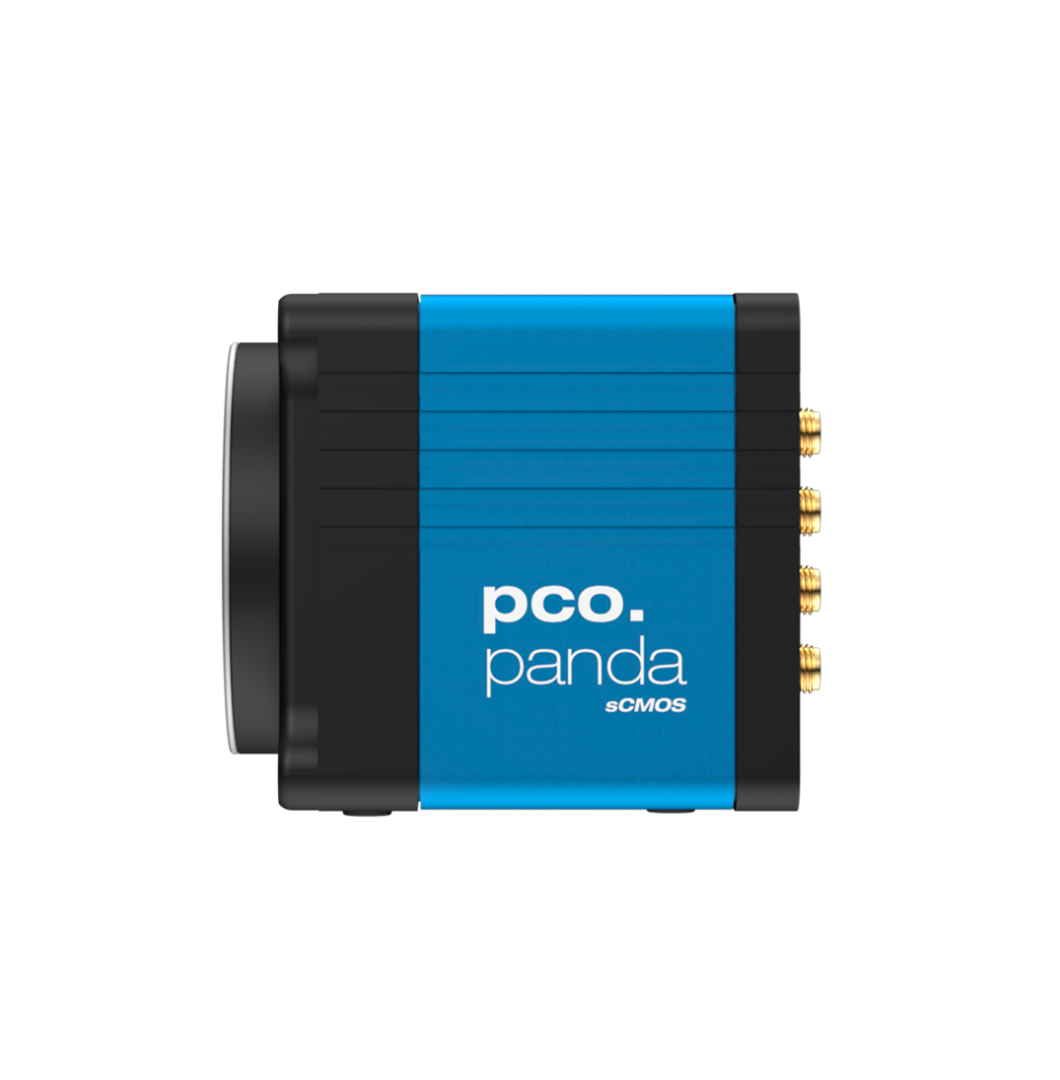 pco.panda 26