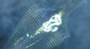 英诺激光 AOFEMTO 1030 50W-500K 1030nm 红外 50W @500kHz 飞秒激光器 - 图片 4